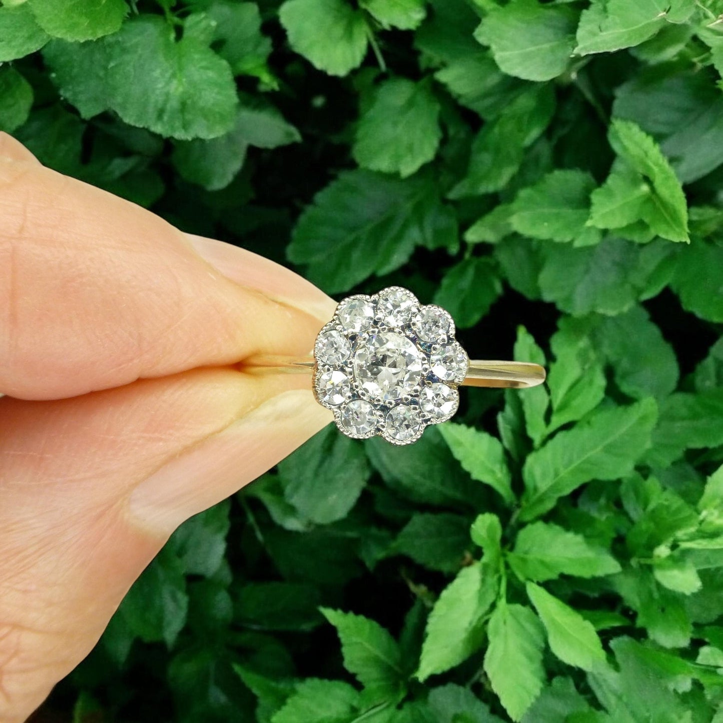 Antique 18ct Platinum old cut diamond daisy cluster ring 0.50ct c1900-1910's