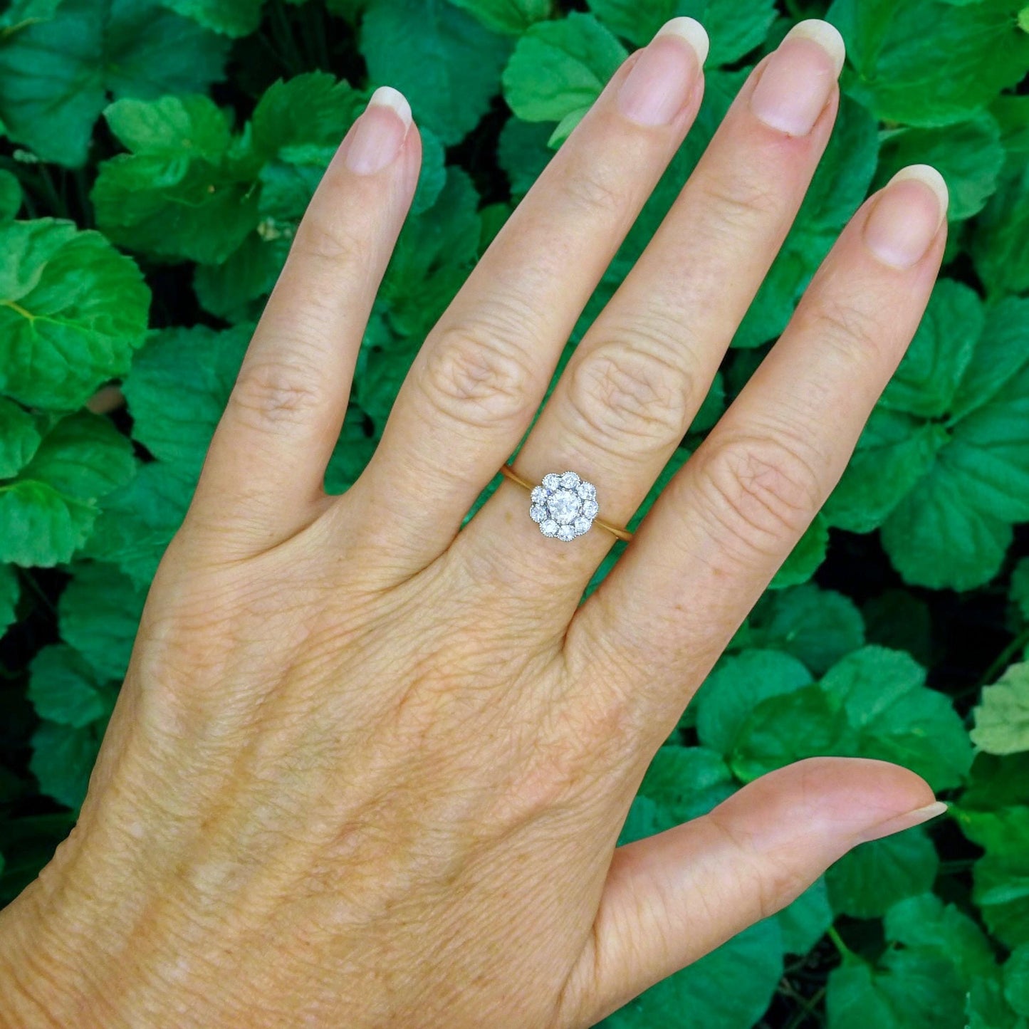 Antique 18ct Platinum old cut diamond daisy cluster ring 0.50ct c1900-1910's