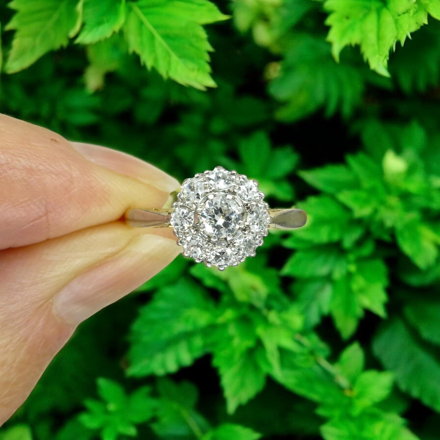 Antique 18ct Platinum old cut diamond halo cluster ring 0.75ct