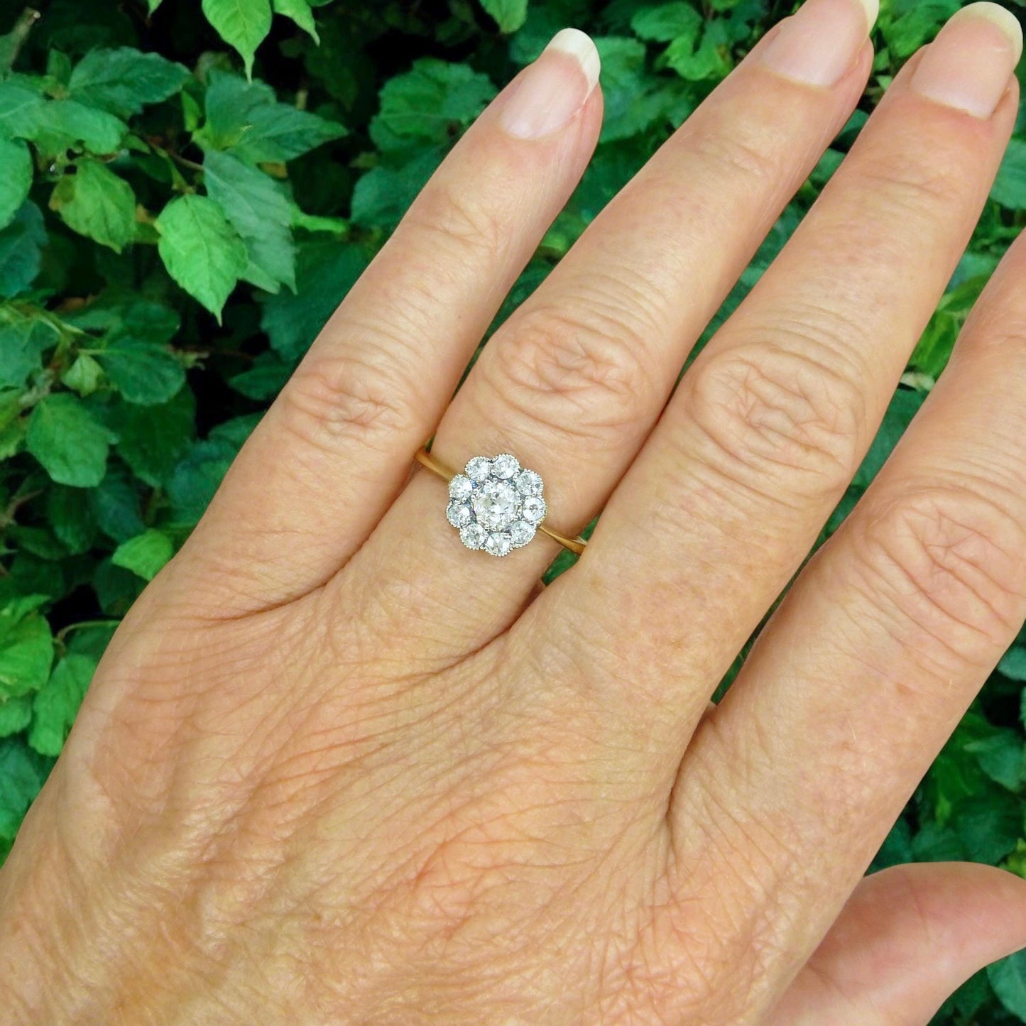 Antique 18ct Platinum old cut diamond daisy cluster ring 0.50ct c1900-1910's