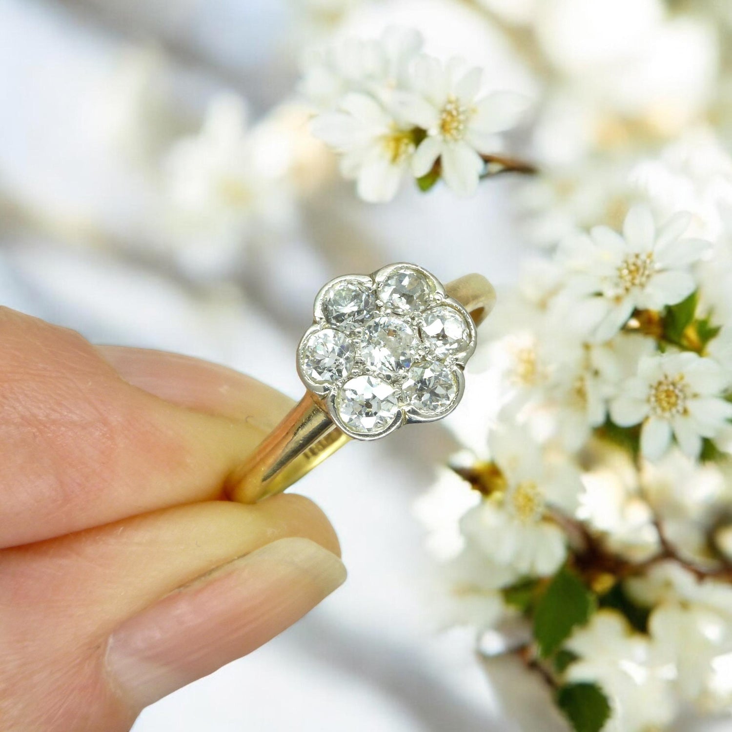 Antique Edwardian 18ct platinum old mine cut diamond daisy ring c1900-1910's