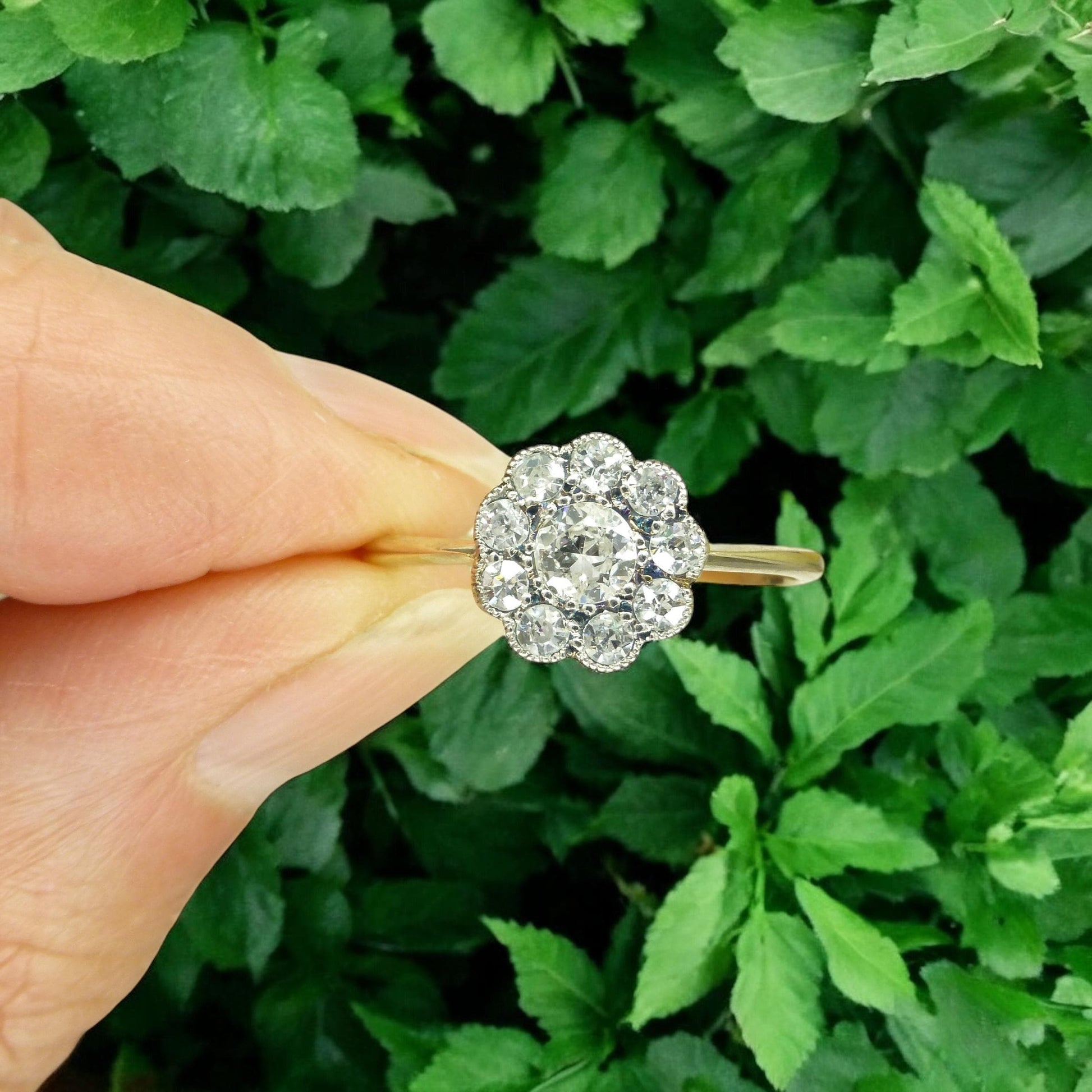 Antique 18ct Platinum old cut diamond daisy cluster ring 0.50ct c1900-1910's