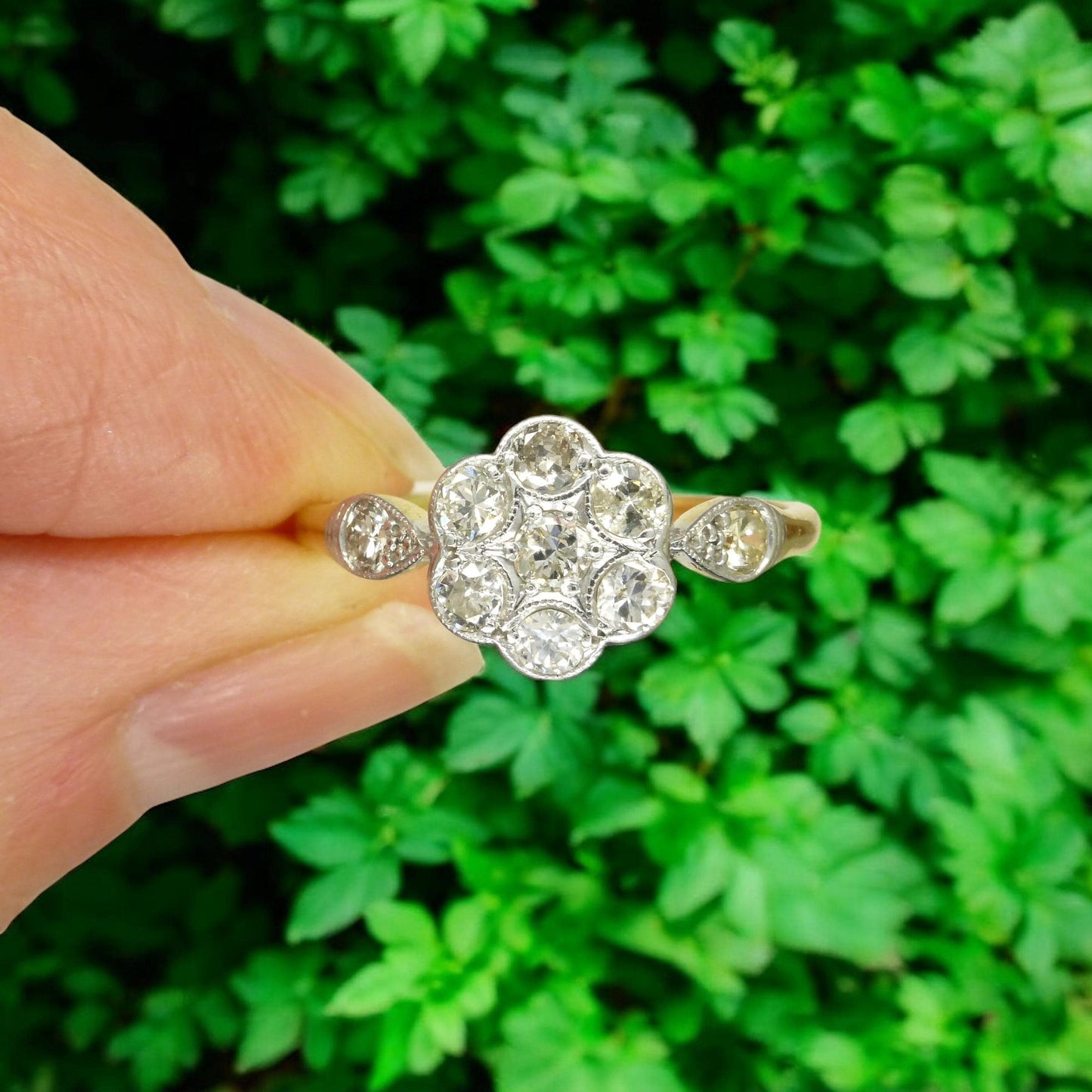 Antique 18ct Platinum old cut diamond daisy cluster ring 0.45ct c1900-1910's