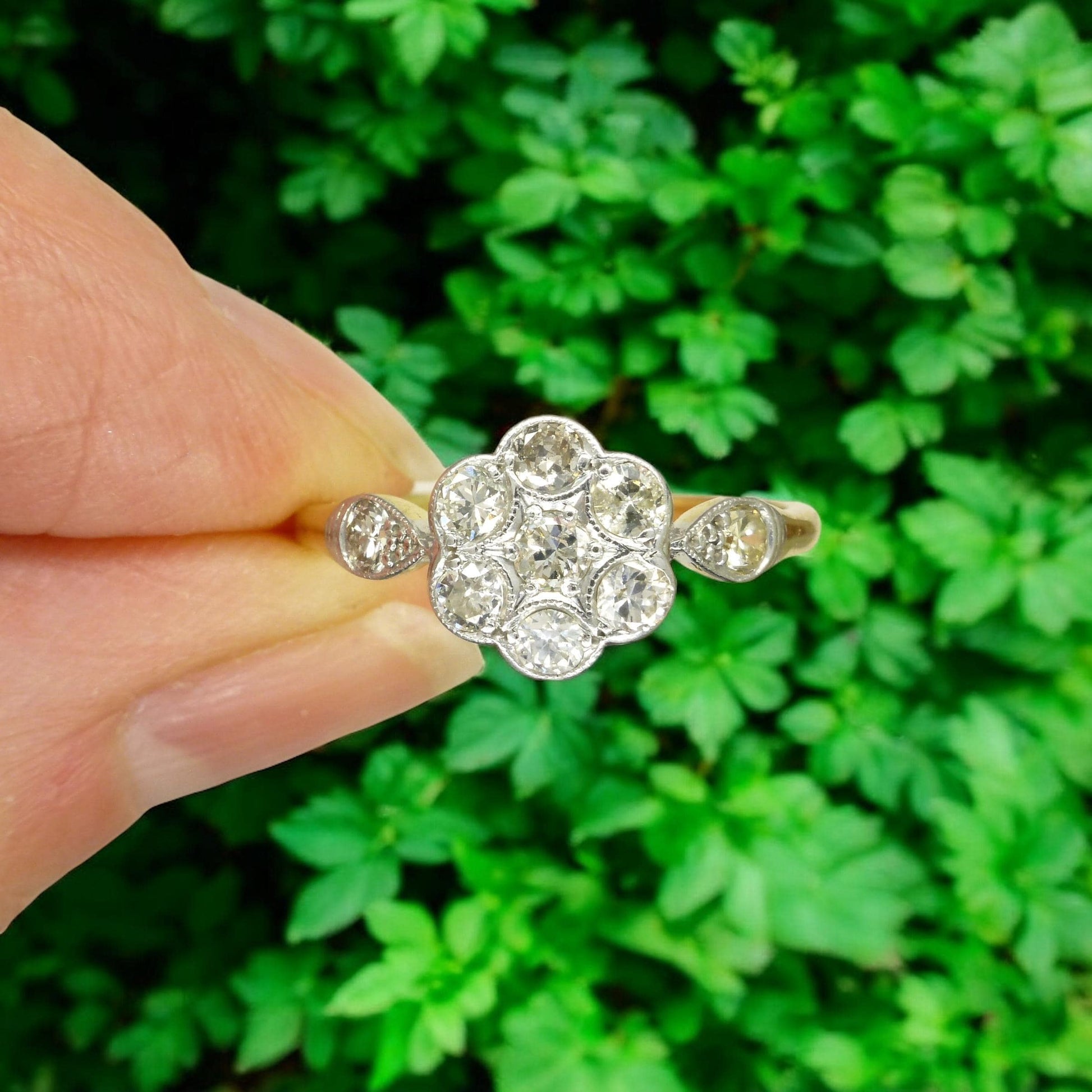 Antique 18ct Platinum old cut diamond daisy cluster ring 0.45ct c1900-1910's