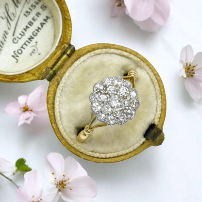 Antique 18ct Platinum old cut diamond daisy cluster ring 0.40ct c1900-1910's