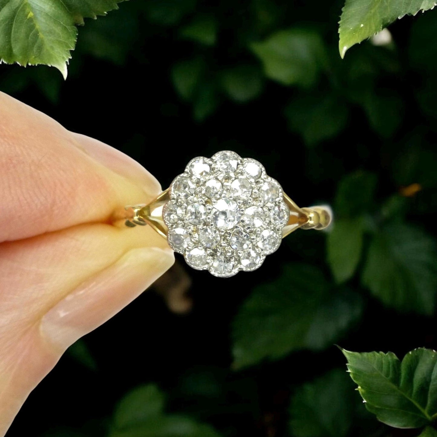 Antique 18ct Platinum old cut diamond daisy cluster ring 0.40ct c1900-1910's
