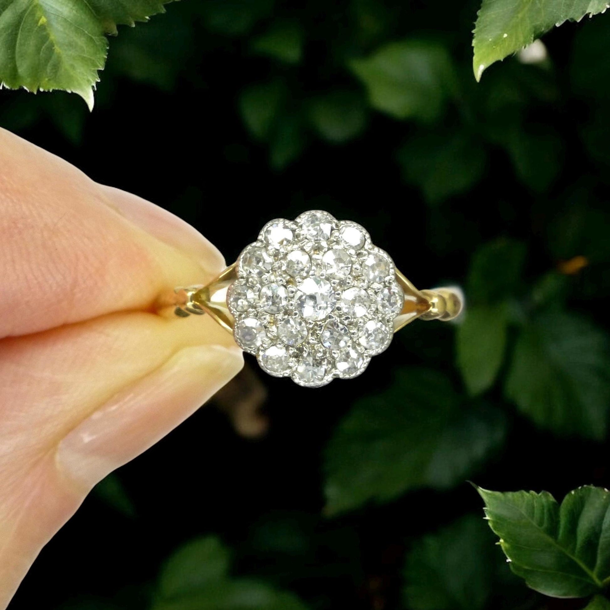 Antique 18ct Platinum old cut diamond daisy cluster ring 0.40ct c1900-1910's