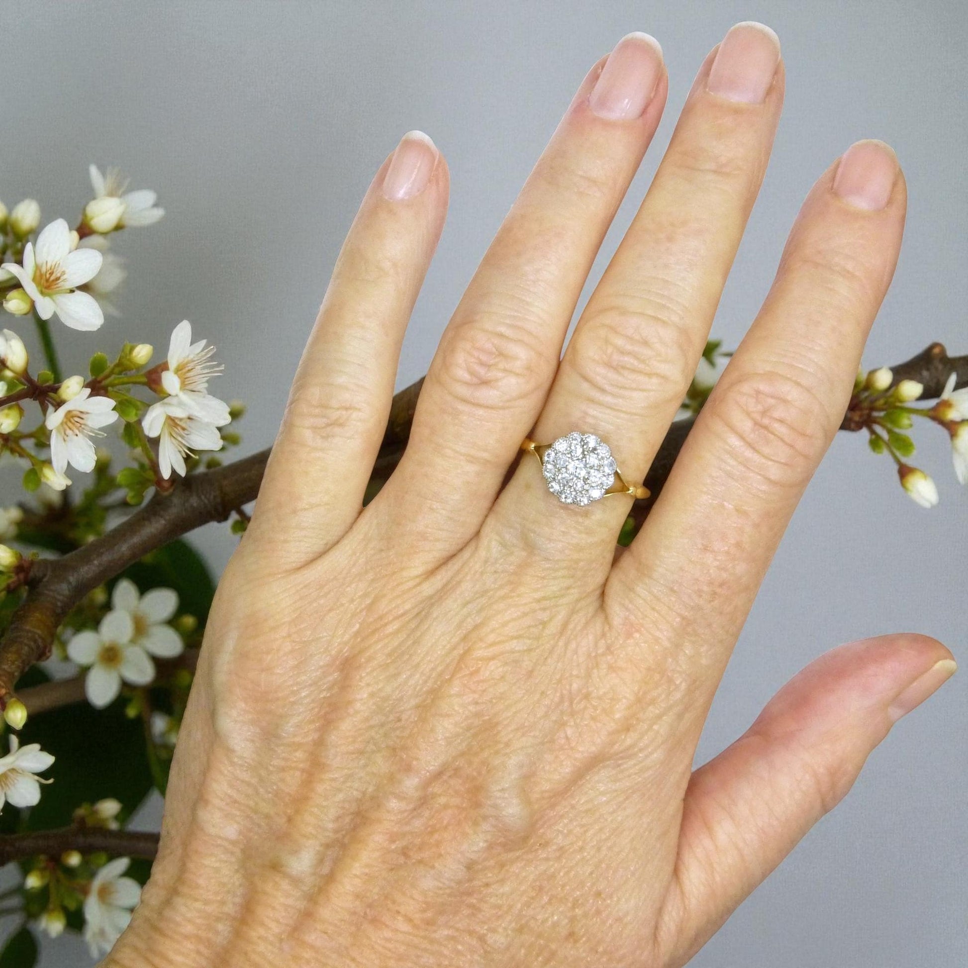 Antique 18ct Platinum old cut diamond daisy cluster ring 0.40ct c1900-1910's